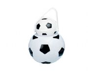 足球運(yùn)動(dòng)水壺