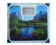 廣告風(fēng)景人體秤