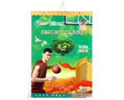 2010中國人壽專版掛歷