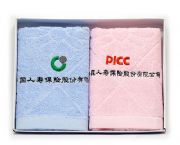 中國(guó)人壽太陽(yáng)花兩件套