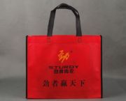 勁牌無紡內(nèi)衣袋