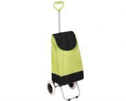 時(shí)尚購(gòu)物車(chē)