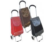 時(shí)尚伸縮桿購(gòu)物車(chē)